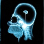 HomerX-Ray HomerX Ray 150x150 Free X Ray Recycling